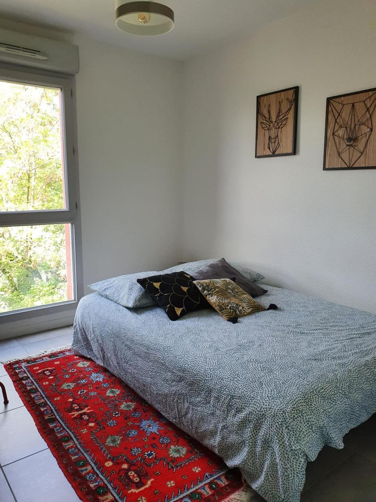 Daurade Balcon Parking Free - Bus Proche Centre Apartment Toulouse Exterior photo